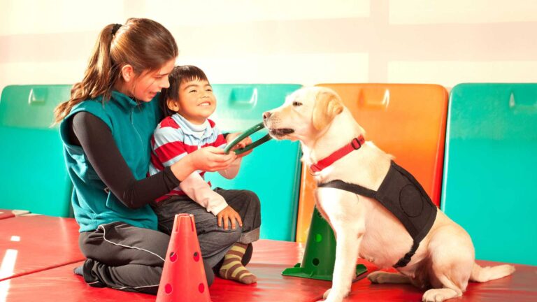 Animal Therapy for Autism