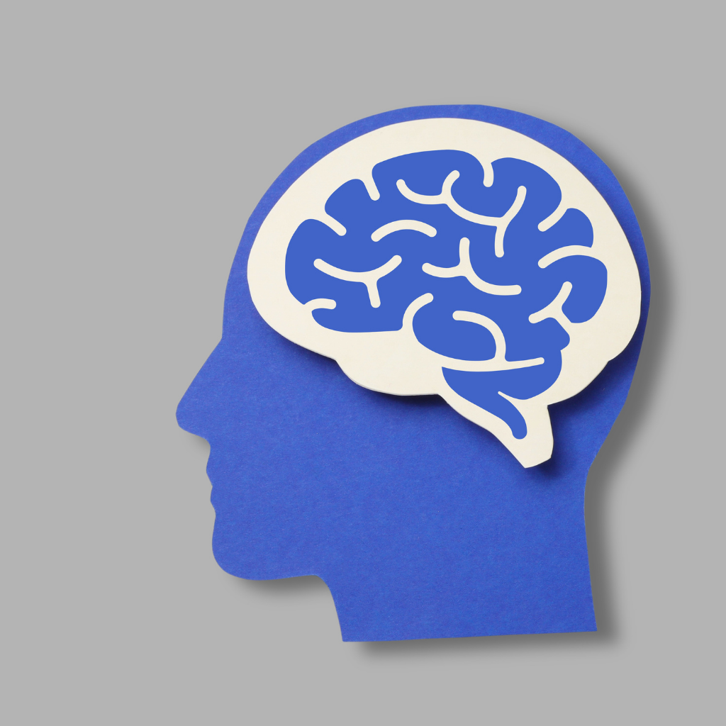 Illustration of a human head and brain representing autism and OCD